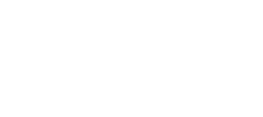 The Vigo Event